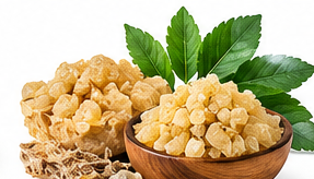 Indian Frankincense (Boswellia serrata)